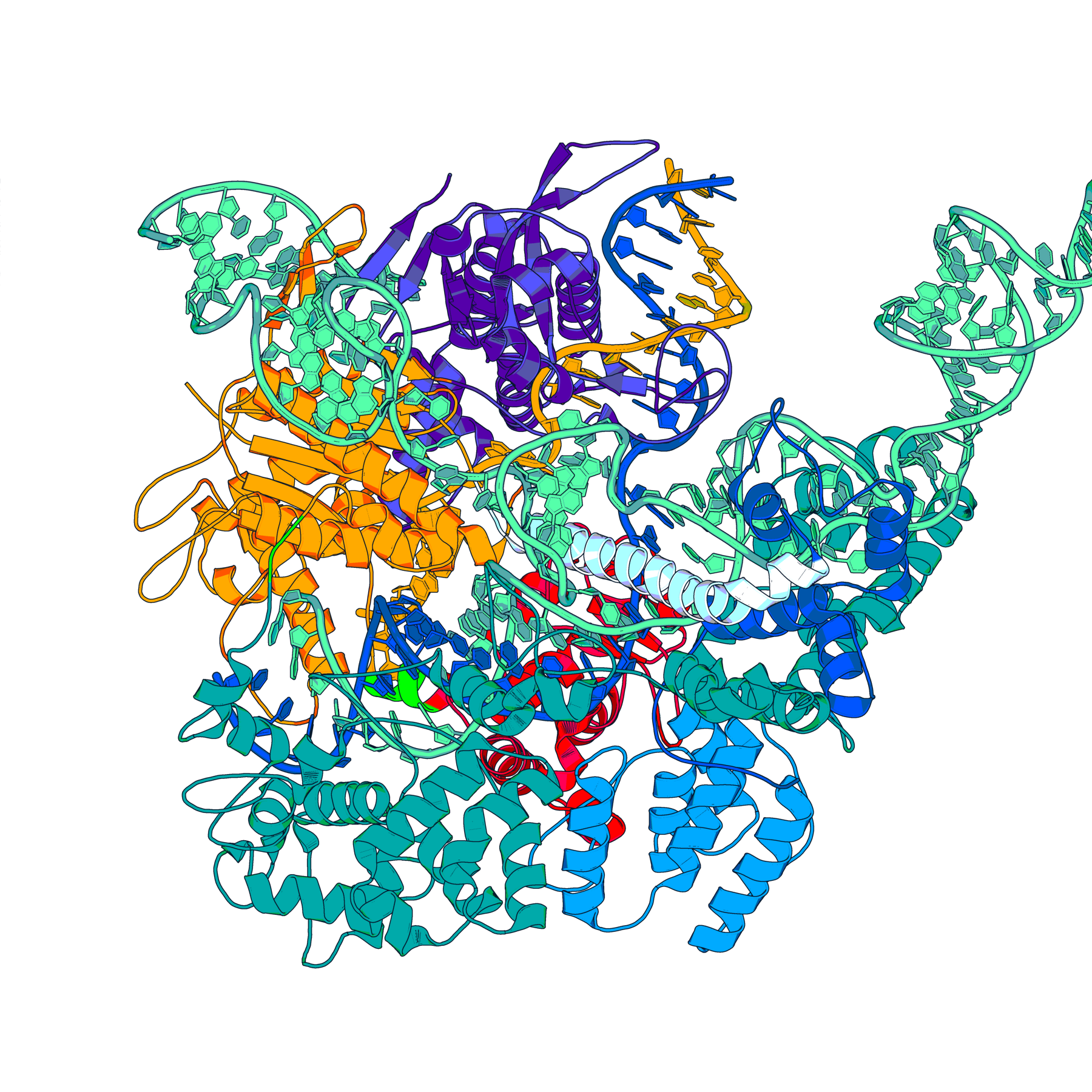PyMOL illustration of a Cas9 protein bound to guide RNA and double-stranded DNA